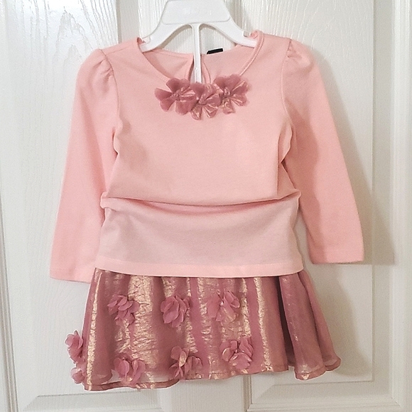 NWT New Baby Gap Girls Two Piece Set 18-24M Long Sleeve Top and 2 Years Skirt - Picture 1 of 8